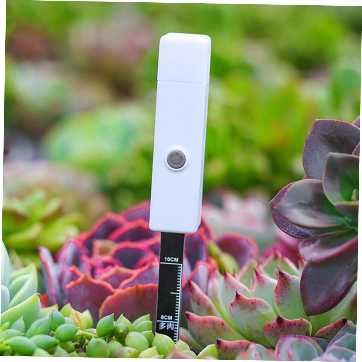 BESPORTBLE 3 Pièces Détection De L'humidité du Sol Usine Mètre Médite De Jardin Capteur pour Numérique Compteur De Sol Détecteur D'humidité Testeur De Sol De Jardinage Le Fer Blanche