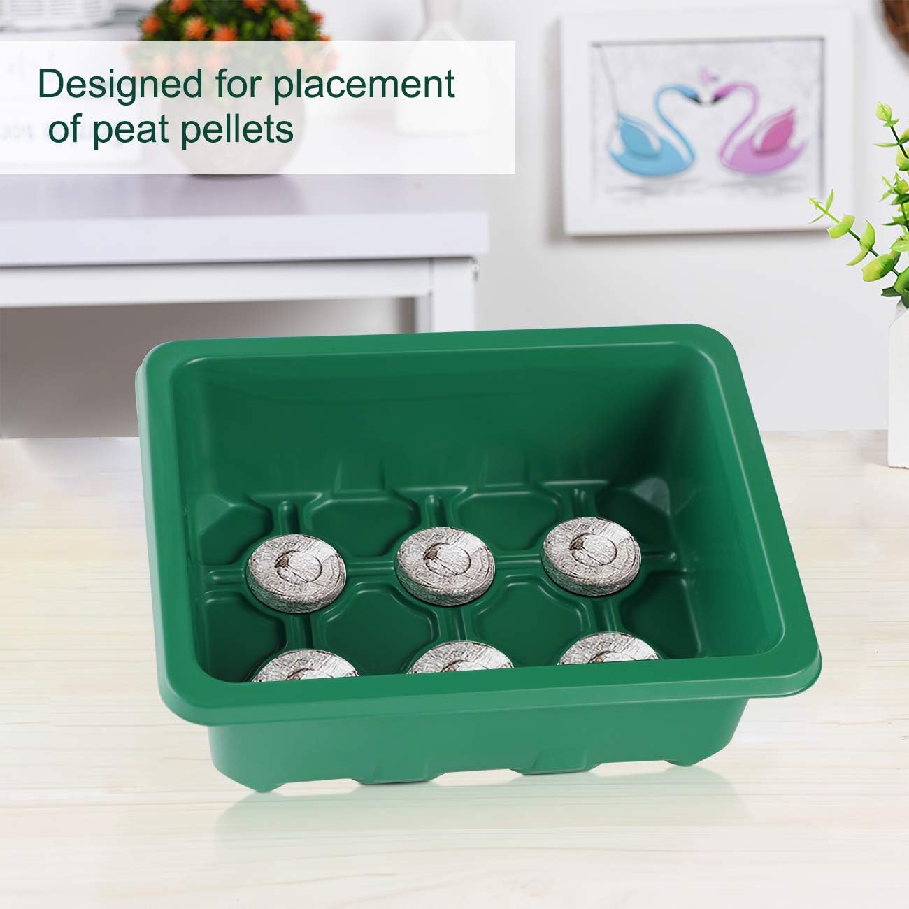 Serres Culture CNNIK 5 Pièces - 60 Cellules Avec Couvercle Vert