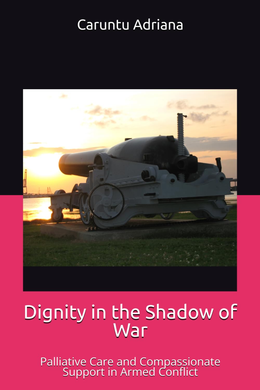 Dignity in the Shadow of War: Palliative Care and Compassionate Support in Armed Conflict (Beyond Barriers: Care Without Limits)