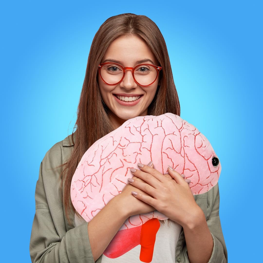 GIANT MICROBES Gigantic 17" Brain Organ Plush, Gift for Med Student, Gifts for Neurologist, Brain Surgery Recovery, TBI Awareness, Neurology Gifts, Neuroscience Gift, Mental Health Awareness - Image 5