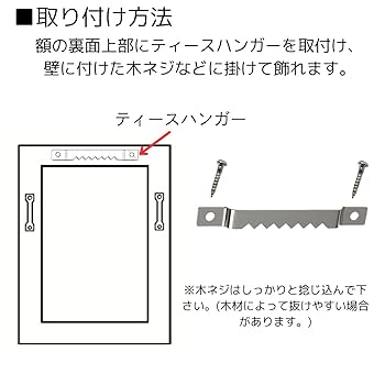 Amazon | 福井金属工芸 ティースハンガー F-0204 | 額受