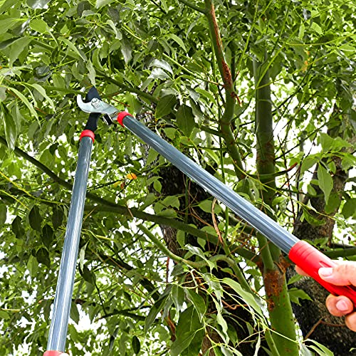 Buying Guide OUTERA Loppers and Pruners Heavy Duty, 28'' Loppers