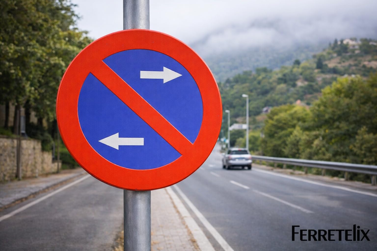 FERRETELIX® Señal Metálica Homologada MOPU 60 cm – R-308h Prohibido Aparcar Ambos Lados – Reflectante N1