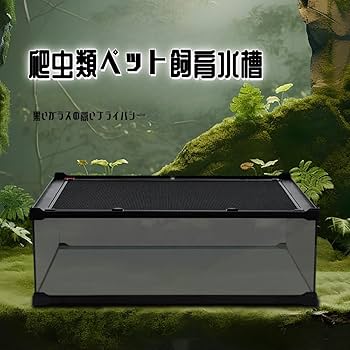 Amazon | 爬虫類 ケージ グラステラリウム 爬虫類 飼育ケース 大