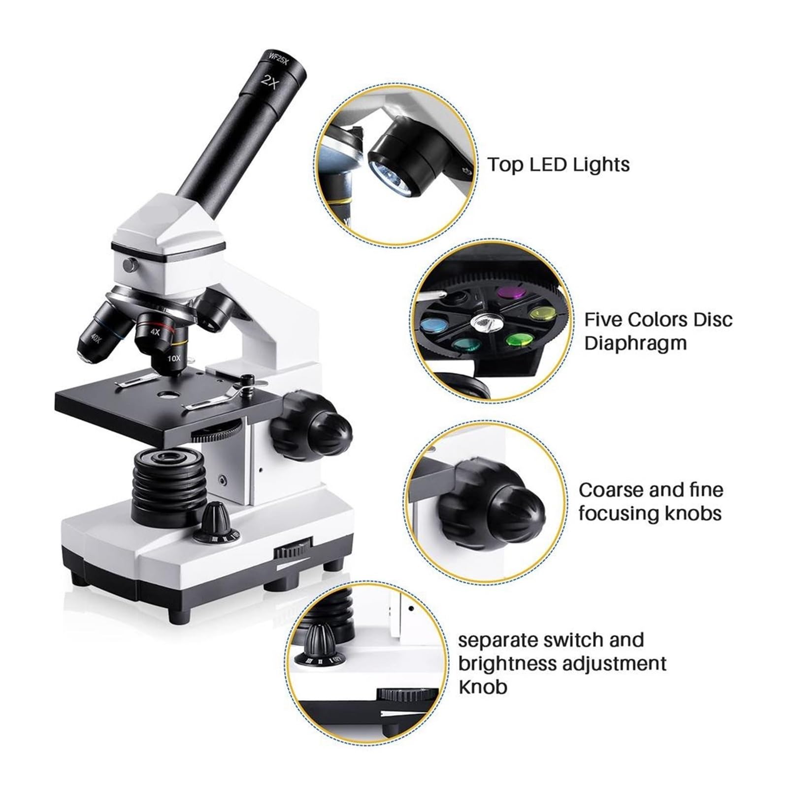 Biologisches Lichtmikroskop-Set 100x-2000x mit LED-Doppelbeleuchtungssystem und Objektträgern – Lehrmittel für Zuhause und Schule