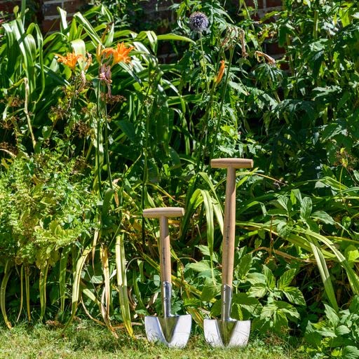 RHS Staudenspaten klein – FSC 100%