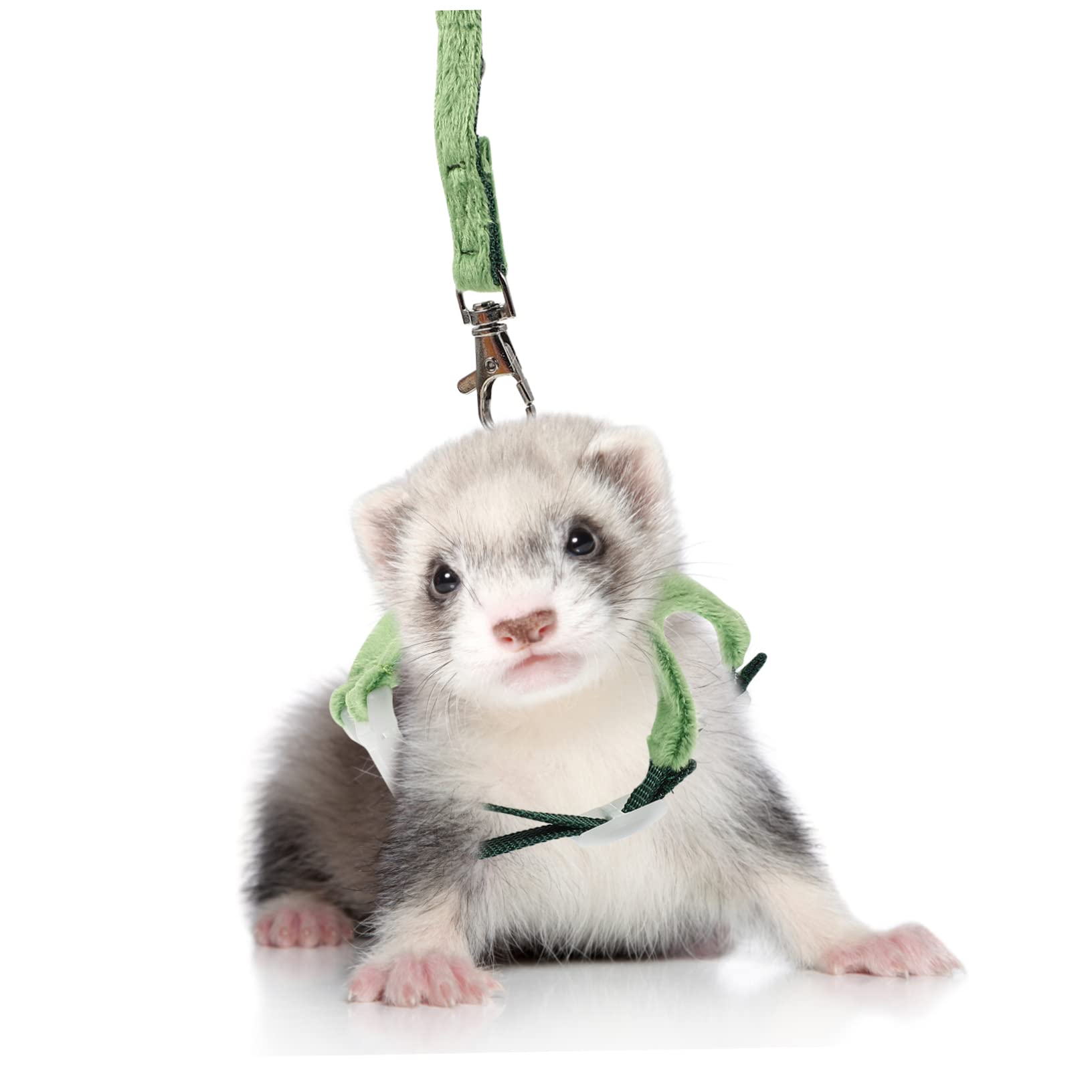 Didiseaon 5pezzi Guinzaglio Per Piccoli Animali Corda Di Trazione Per Ferret Leggero e Compatto Accessorio Per Passeggiate All Aperto