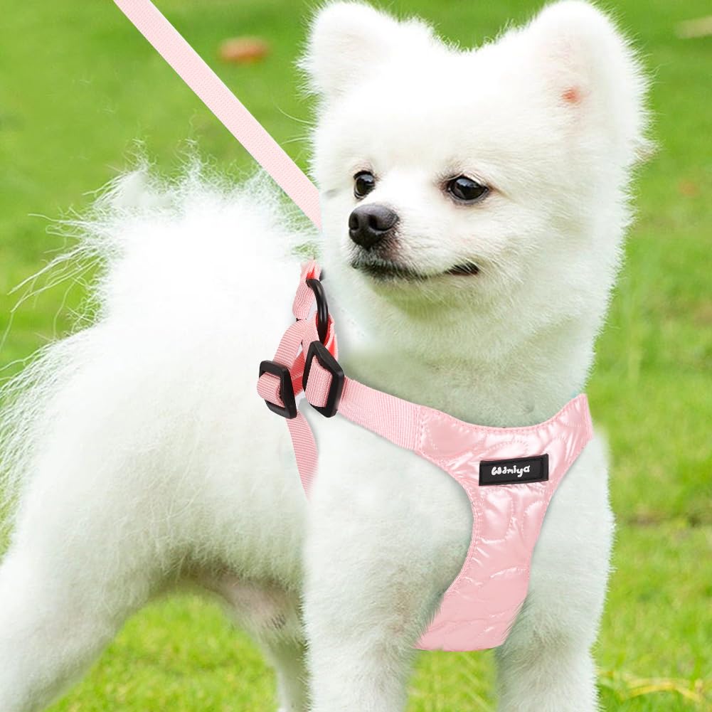 Pettorina per Cani, Pettorina per Cani Taglia Piccola, Imbracatura per Cane, Pettorina Puppy Antifuga, Collar per Cani, Cani Accessori (S, Rose)