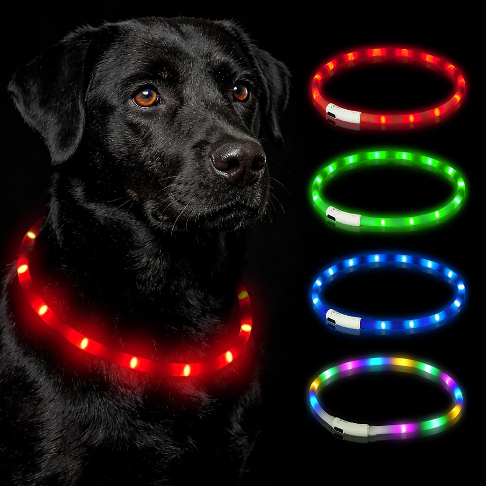 HOTUT Light Up Dog Collar,Rechargeable Flashing Dog Collar,Flashing LED for Night Walking,3 Flash Glowing Modes,Size Adjustable,Visible Safe,for Small Medium and Large Dogs