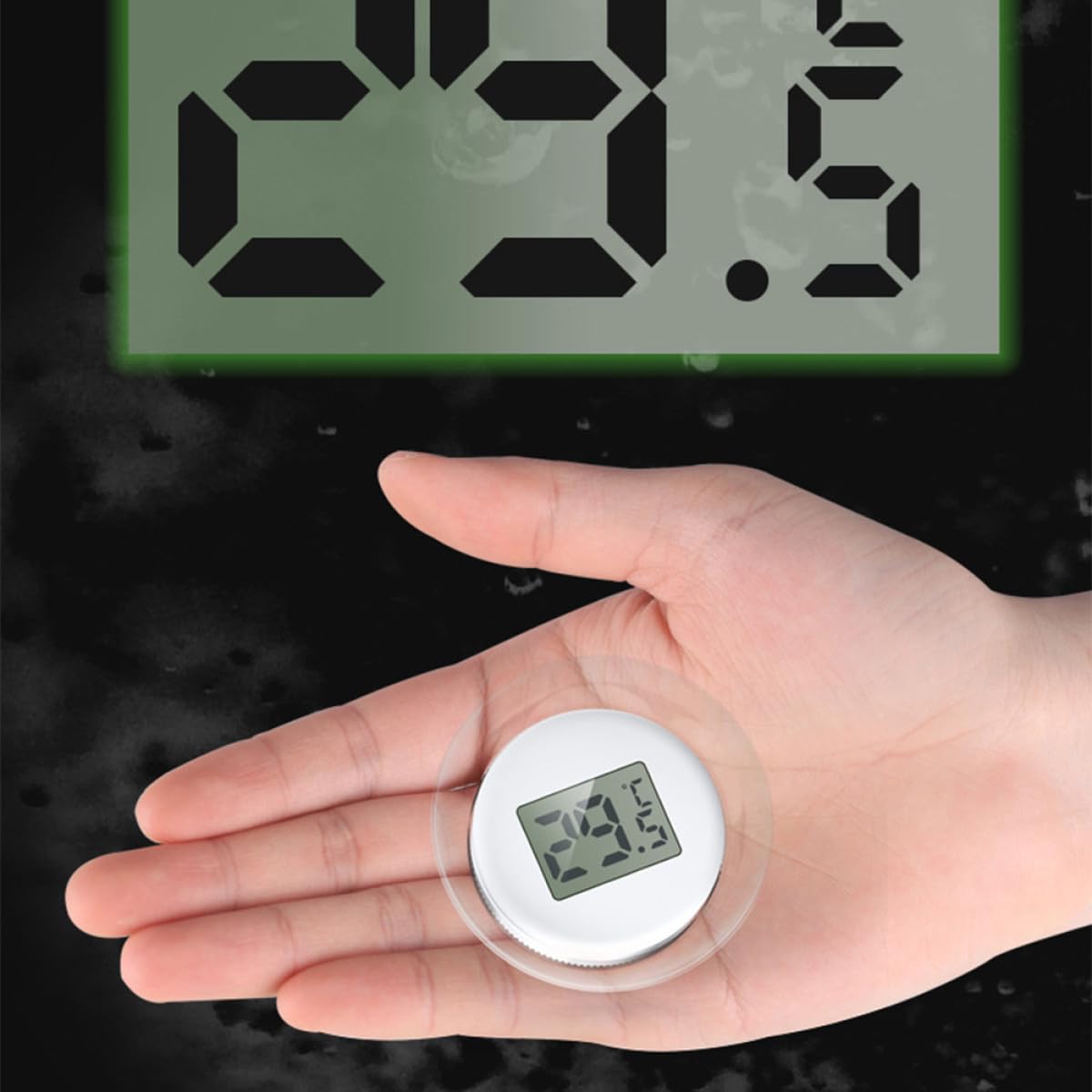 Sosoport 3 Pièces Thermomètre D'Aquarium Température De Terrarium Jauge De Température De Reptile Thermomètre D'Étang Numérique pour Aquarium De Réservoir De