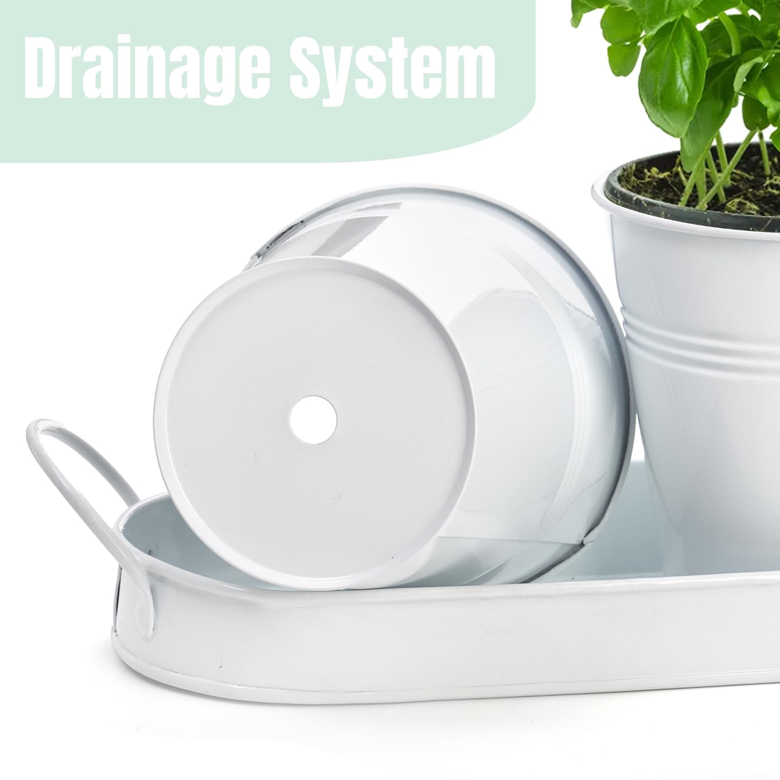 Amazon.co.jp: Hiceeden ハーブガーデンプランター、排水穴付き屋内