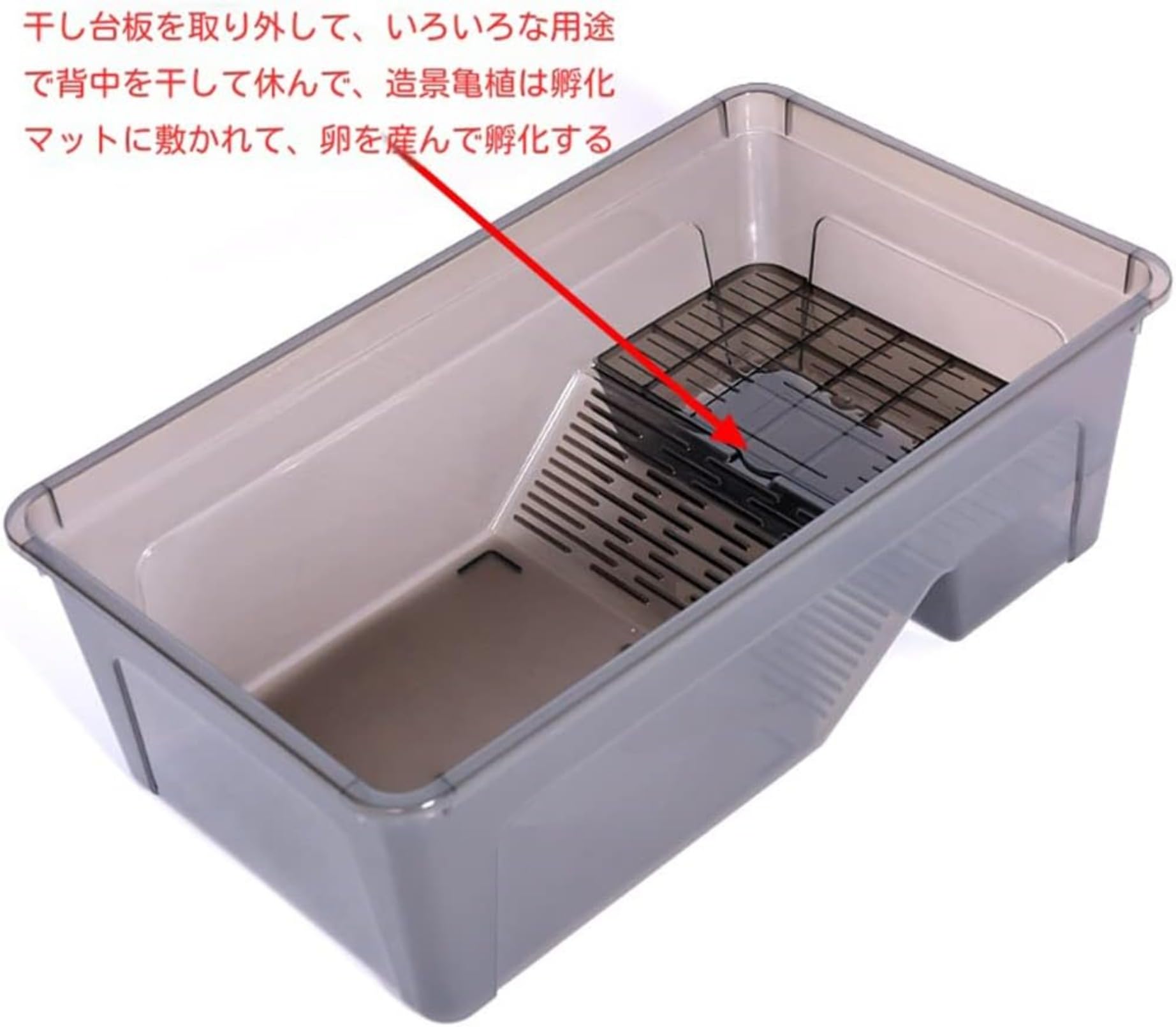 Amazon | Yubbuio き亀の洗面器 カメボックス カメパラダイス