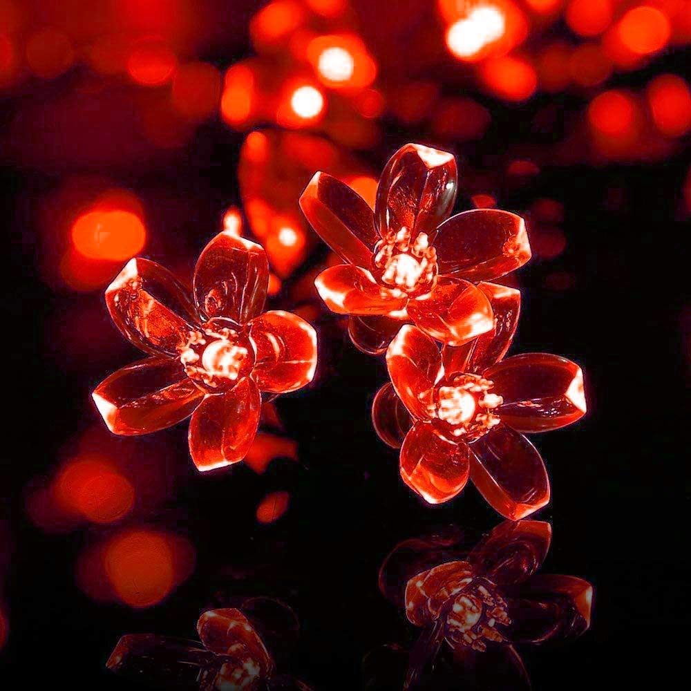 See full amazon price history chart for Lexton 20 Led Flower String Light |Plug Sourced|Red|for Indoor & Outdoor Decorations Lexton 20 Led Flower String Light |Plug Sourced|Red|for Indoor & Outdoor Decorations (B0B429M7C5) Amazon Price History, Amazon Price Tracker
