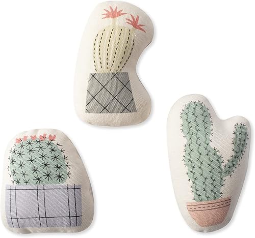 Fringe Studio 521014 - Juego de 3 cactus en maceta (3 unidades), multicolor