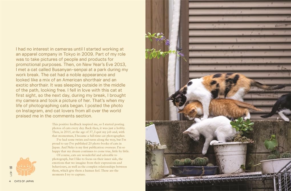 Neko Cats of Japan
