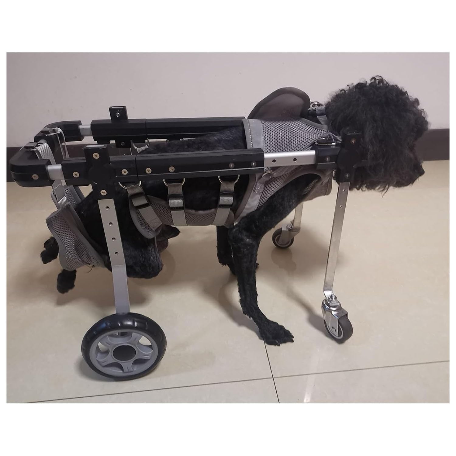 Silla de ruedas para mascotas discapacitadas, ayuda a la movilidad de 4 ruedas con correa y tiras reflectantes para mascotas discapacitadas
