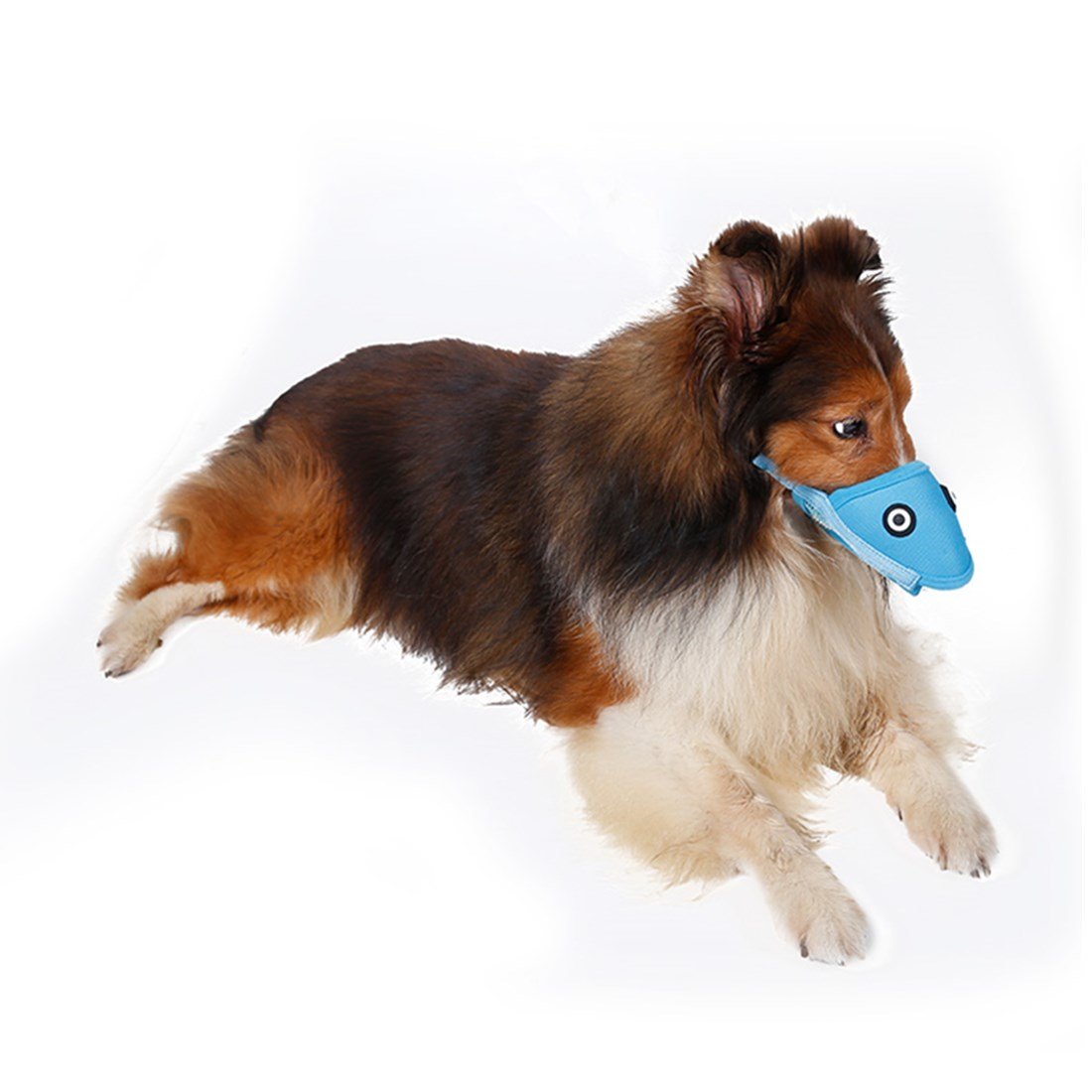 Dog Puppy Pet Cute Muzzle Anti-bite Mouth Covers Set Masks Anti-picking Mouth Set M Blue