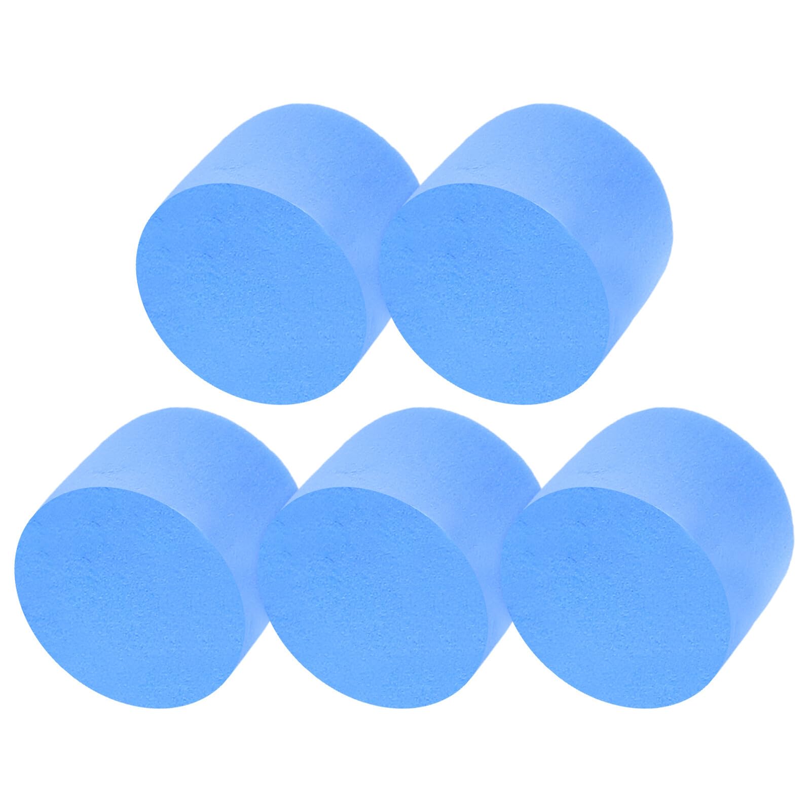 5 Esponjas de Espuma Azules para Tubos de Laboratorio, Suministros para Nidos de Insectos Ambiente Cómodo y Fácil de Usar en Aprendizaje Naturaleza