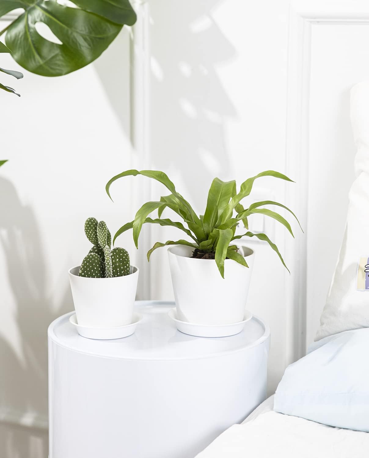 LaDoVita 7 Pack Plastic Plant Pots Indoor, 7/6.5/6/5.5/5/4.5/4 Inch Modern Planters for Plants, Flower Pots with Drainage Holes and Trays, White : Patio, Lawn & Garden