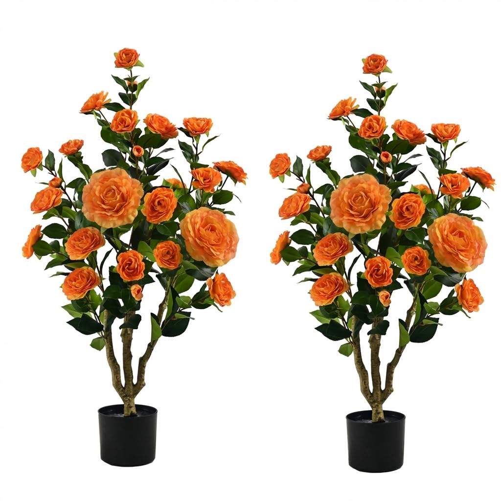 product_img5