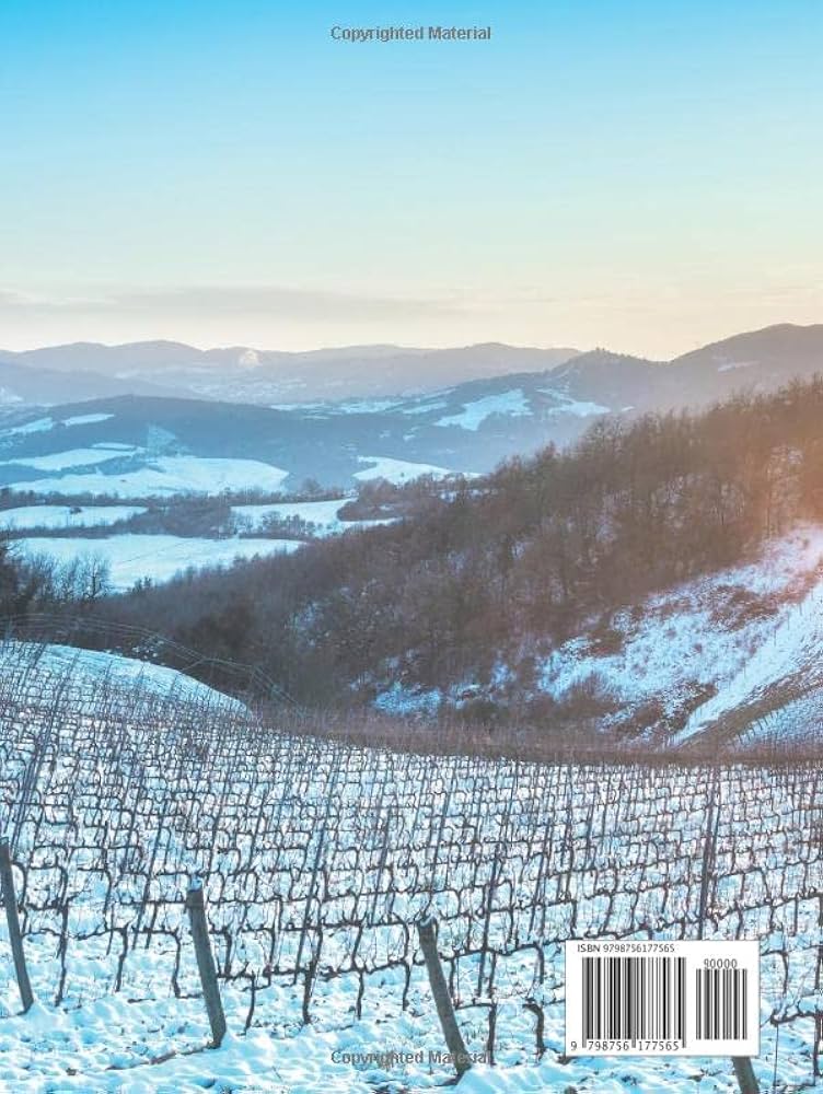 Amazon.com: Florence Picture Book: 100 Beautiful Images of Italy's