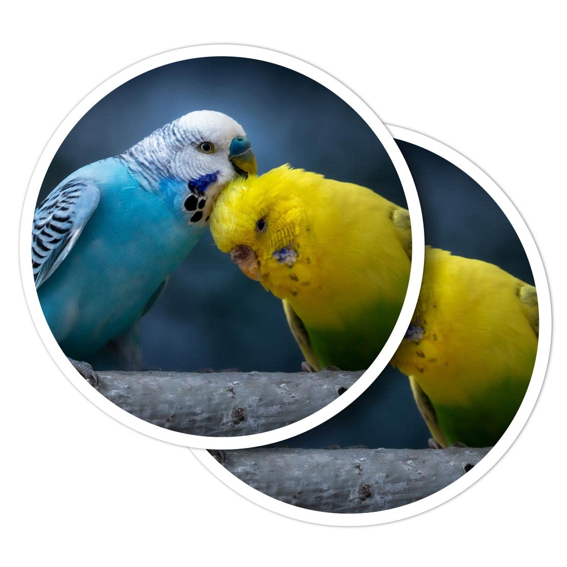 Vinyl Round Stickers (Set of 2) 10cm - Cute Budgie Couple Love Birds Parrot for Laptops, Tablets, Luggage, Scrap Booking, Fridges #52756
