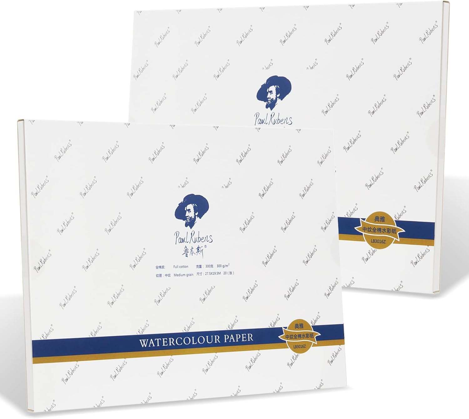 2 Pack Paul Rubens Artist Quality Watercolor Paper, Art