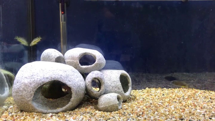 Amazon.com : Penn-Plax Deco-Replicas Granite Aquarium