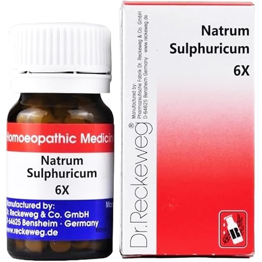 Dr Reckeweg Natrum Sulphuricum 6X 20 GM