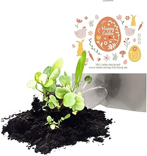 4 x bomby nasiona "Happy Easter" jako upominek / Wielkanoc / prezent / upominek / bomby morskie / torebki na imprezę / torebki na prezenty / podziękowanie / podziękowanie / zajączki / kulki nasione