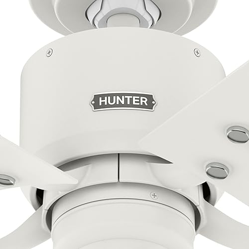 Miniatura 11 de Hunter Ventilador de techo de transición de 52 pulgadas de color blanco mate para interiores y exteriores y cadena de tracción