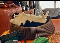 Review Image by Kate Smith Kate Smith