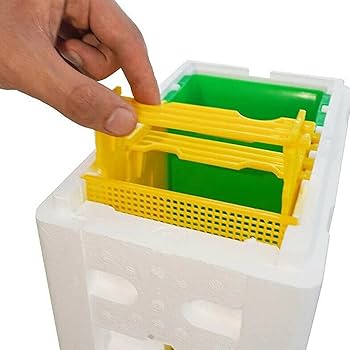 【最安値】新品未開封 グミッツェルプチパーティーBOX 2箱 生はちみつギフト2点セット 高級ギフトボックス入り - Honey