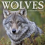 2019 Wolves Wall Calendar
