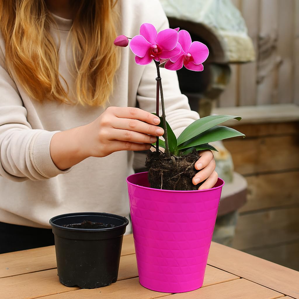 Home Garden Ornaments Plant Pots Indoor Orchid Pots 3 Pcs Glossy & Pearly Look Durable Indoor Plant Pot for Plants & Flowers (13 cm / 5.1 inch Pink Fuchsia) - Image 2