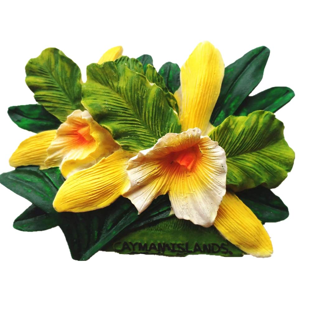 3D Cayman Islands UK Fridge Magnet Souvenir Gift, Home & Kitchen Decoration magnetic sticker Cayman Islands refrigerator magnet collection