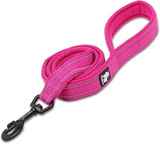 TRUE LOVE Reflective Padded Nylon Dog Walking Leash, Fushcia, M, 110cm