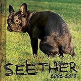 Seether: 2002-2013 by Seether [Music CD]