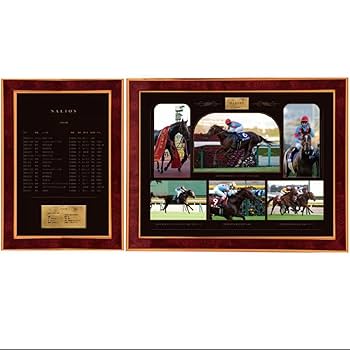 パンサラッサ引退記念写真デザインパネル（シリアルナンバー入り） HORSE GOODS net】パンサラッサ・引退記念写真デザインパネル