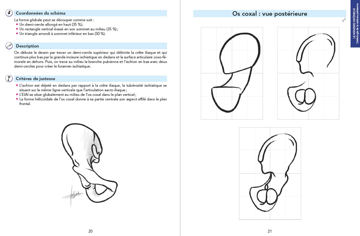 Toute l’anatomie humaine par le dessin: Plus de 220 dessins pour apprendre activement !