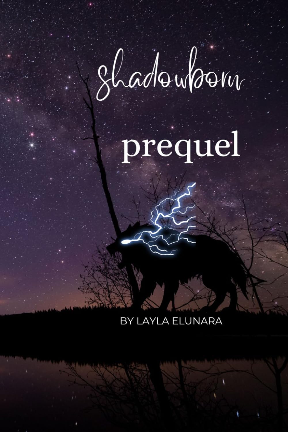 The Shadowborn Guardian (The Stormbound Realms Series)