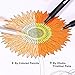 Ohuhu 24 Colors Fineliner Pens, 0.4mm Colored Fine Line Marker Marking Pen for Journal Book Sketch Drawing Fine Liner Coloring Book, Back to School Art Supplies
