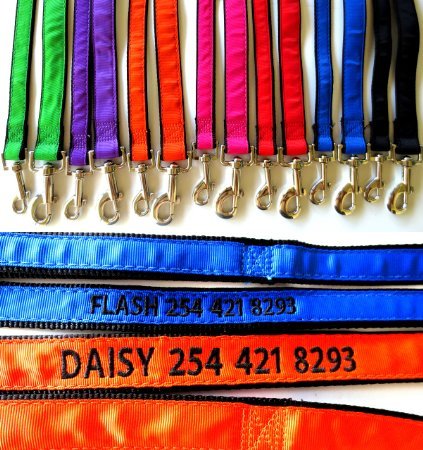Go go cute puppy personalized embroidered dog leash for small and…