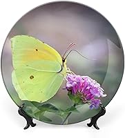 Vista 15 de Plato decorativo para exhibición, placa de rana, placa redonda de cerámica, platos conmemorativos con soporte, adorno de porcelana para decoración