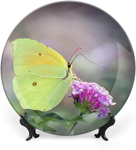 Miniatura 15 de Plato decorativo para exhibición, placa de rana, placa redonda de cerámica, platos conmemorativos con soporte, adorno de porcelana para decoración