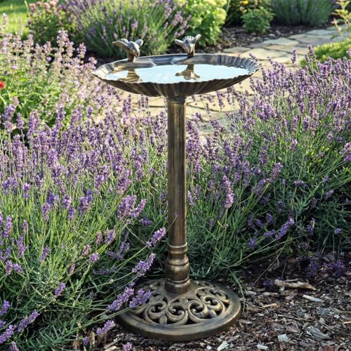 CLGarden Vogeltränke VGT5 mit Standfuß Vogelbad stehend 65 cm hoch Rostfrei stabil & wetterfest Für Garten Terrasse & Balkon