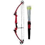 Genesis Original Compound Bow & Arrow Kit- Adjustable Riser, 15-30 Draw Length, 10-20 lb Draw Weight, All Skill Levels, Draw Hand - Left, Red