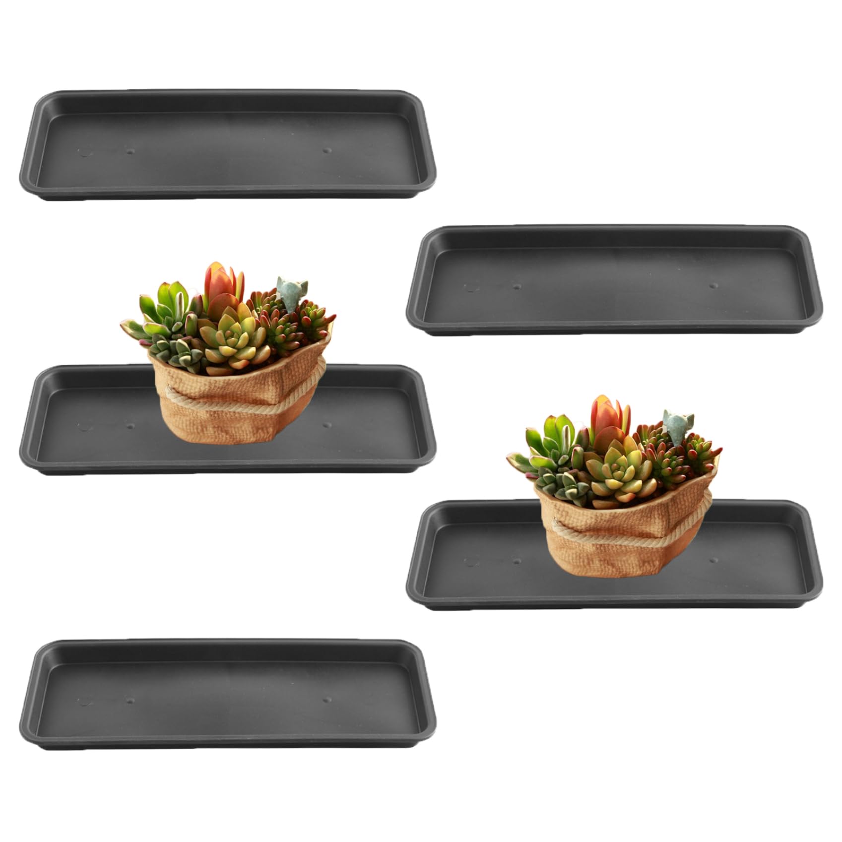 Plateaux de plantes rectangulaires étanches lot de 5 soucoupes de protection