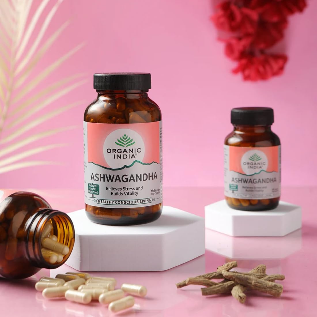 A TATA Product - Organic India Ashwagandha Capsules - 60 Veg Caps (Pack of 2), For Vitality & Relieves Stress, Naturally Boosts Energy & Stamina, Improves Immune System