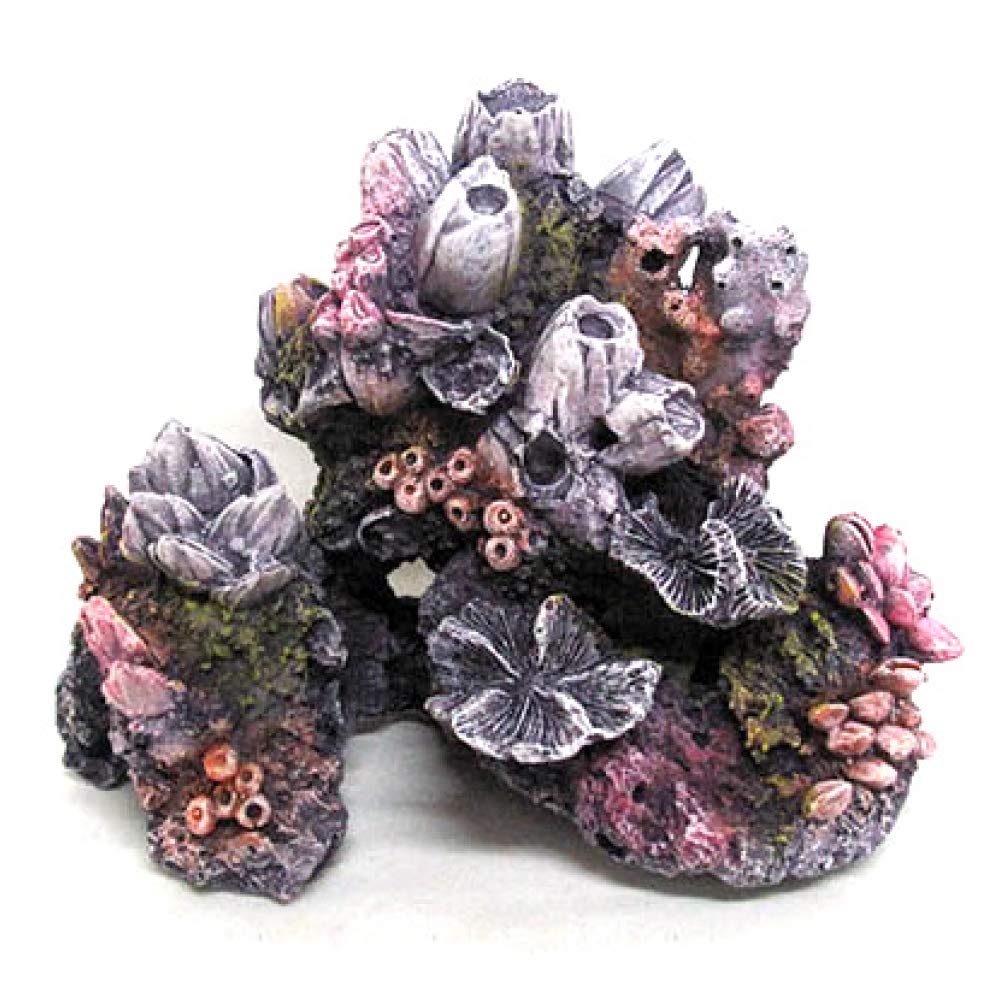 Amtra Deko Reef Roccia con Coralli - Decorazione in Resina atossica per Acquari, Accessorio Ornamentale subacqueo, Decorativo rifugio nascondiglio, Dipinto a Mano, Dimensione 15 * 20 * 12 cm